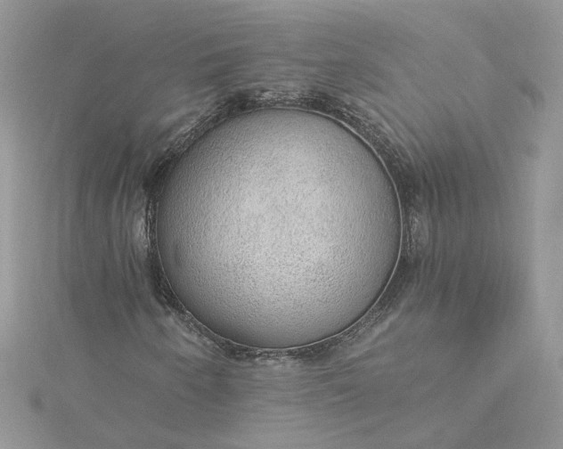 X0000115361250200911171345