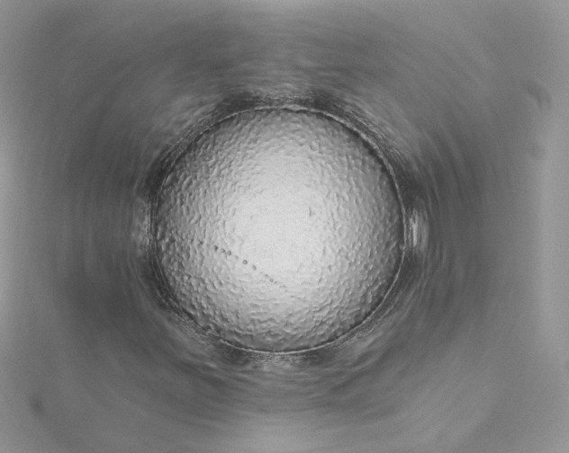 X0000115361251200911171345