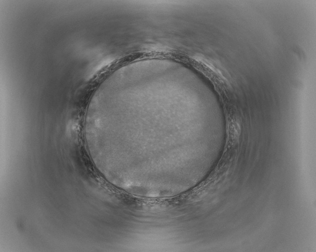X0000115361254200911171345