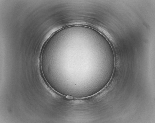 X0000115361282200911171345