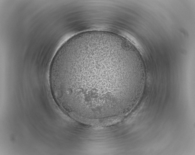 X0000115361283200911171345