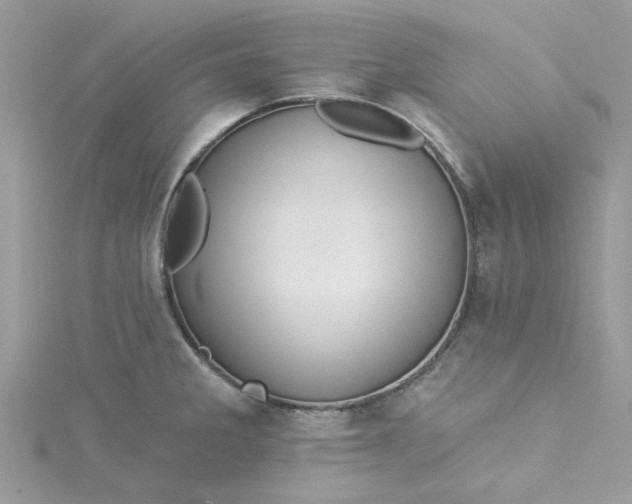 X0000115361285200911171345