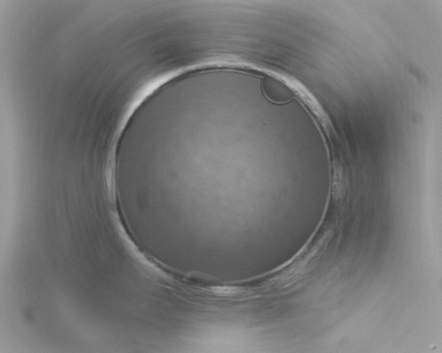 X0000115361295200911171345