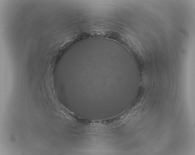 X0000115361297200911171344