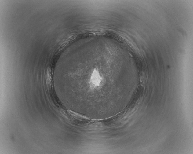X0000115361298200911171344