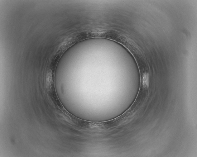 X0000115361299200911171344