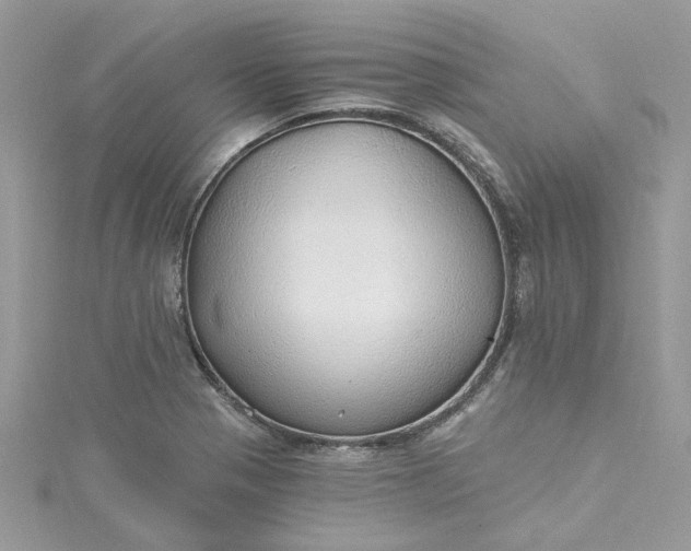 X0000115361321200911171345