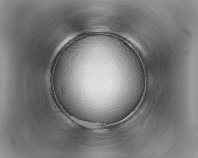 X0000115361325200911171345