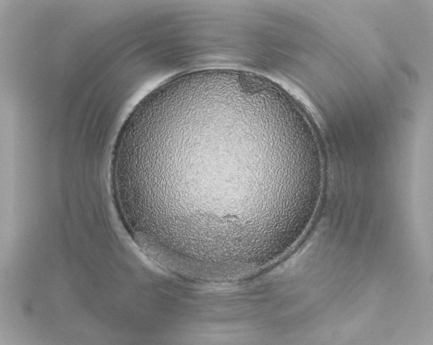 X0000115361333200911171345
