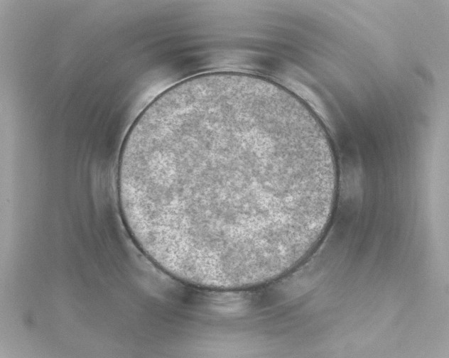 X0000115361338200911171345