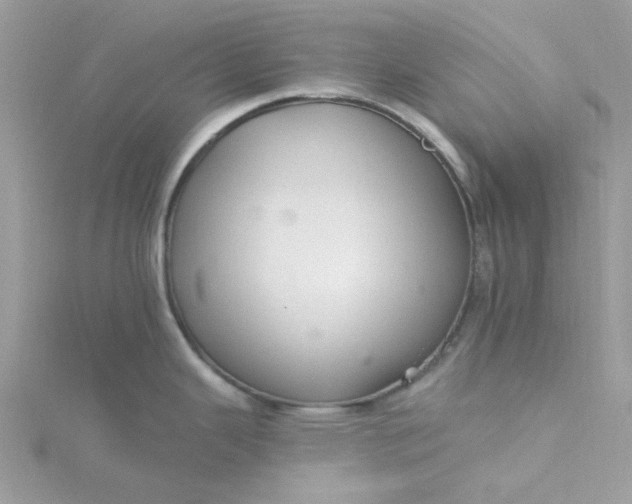 X0000115361343200911171345