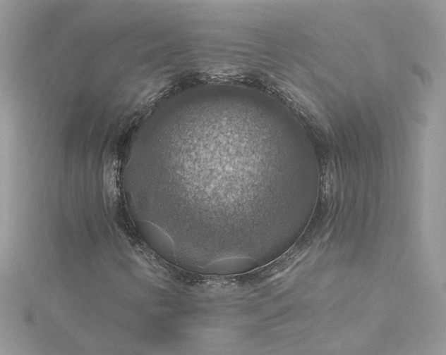 X0000115361346200911171344