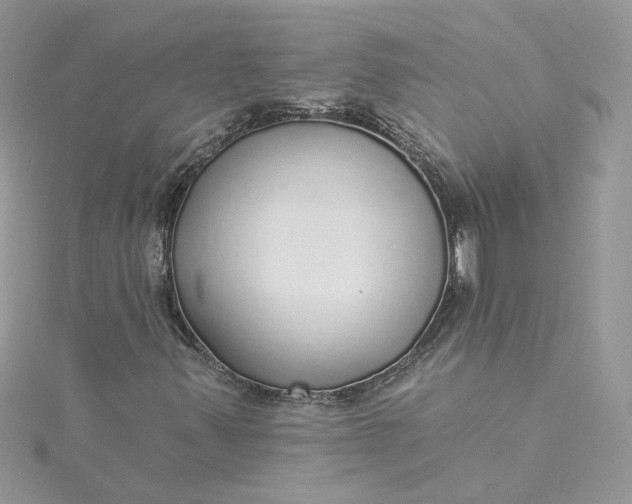 X0000115361347200911171344