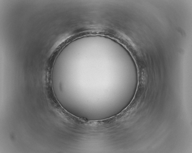 X0000115361352200911171344