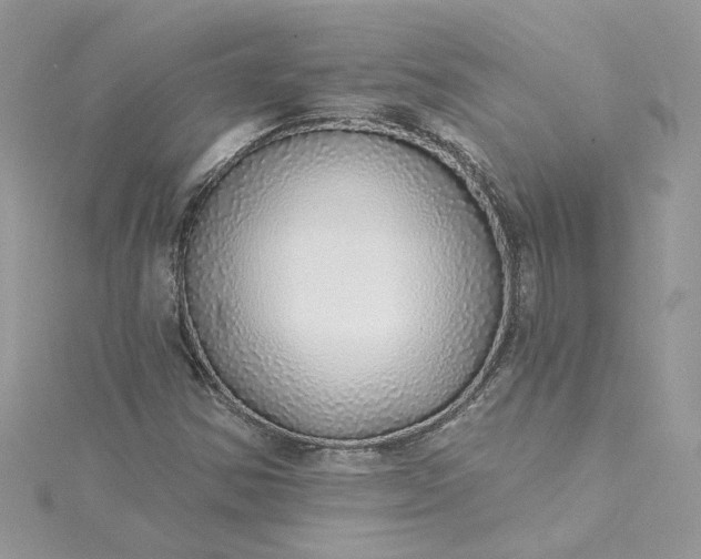 X0000115361354200911171344