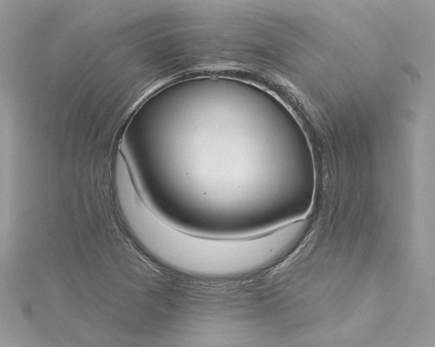 X0000115361361200911171344