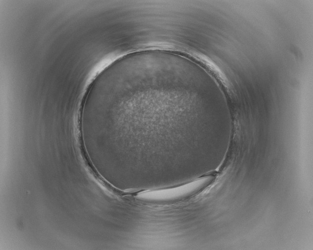 X0000115361373200911171344