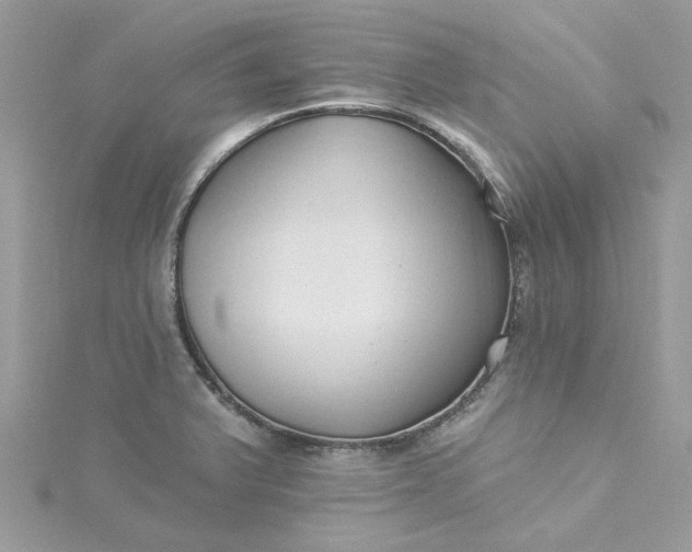 X0000115361375200911171344