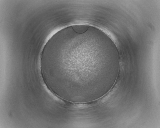 X0000115361382200911171344