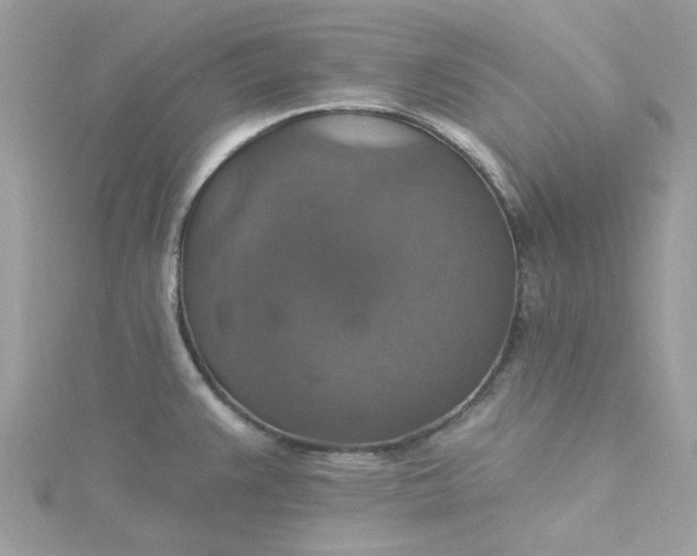 X0000115361383200911171344