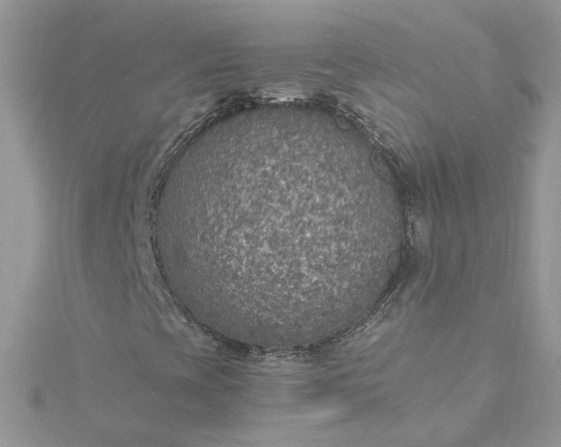 X0000115361393200911171343