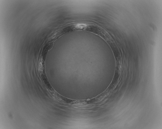X0000115361394200911171343