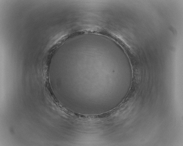 X0000115361399200911171343