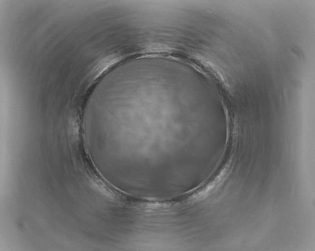 X0000115361401200911171343