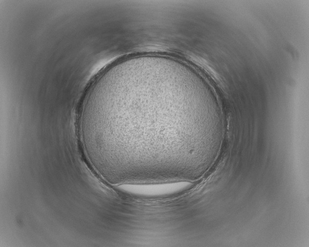 X0000115361404200911171343