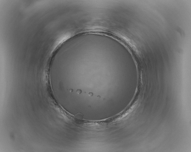 X0000115361405200911171343