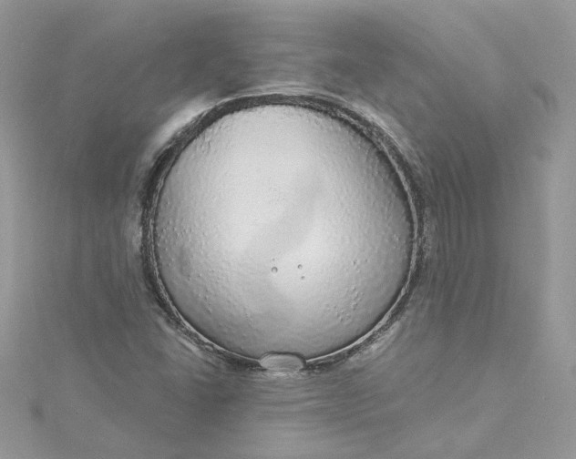 X0000115361406200911171343