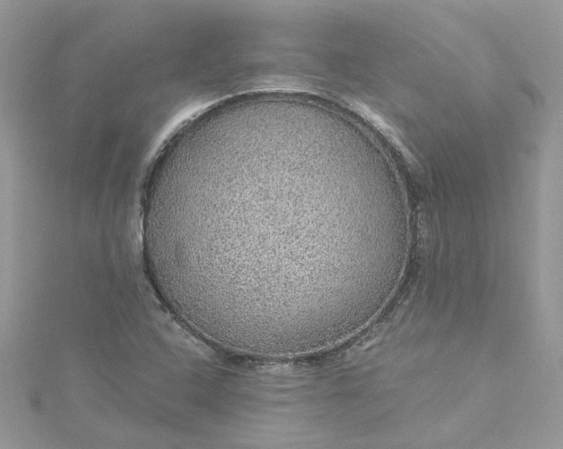 X0000115361408200911171343