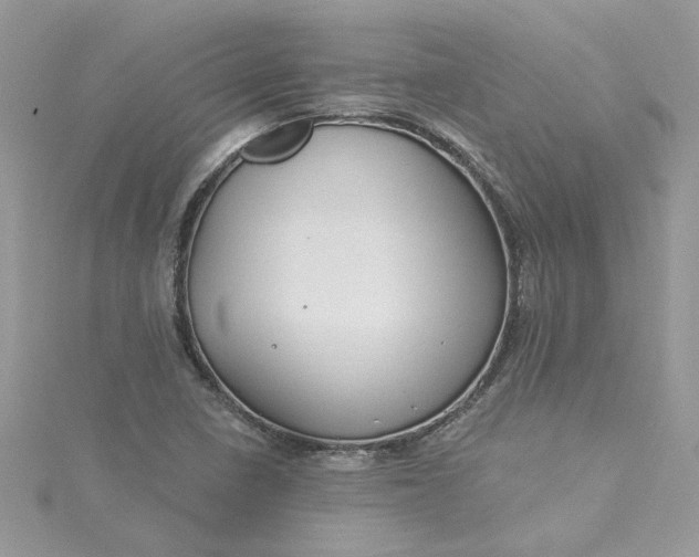 X0000115361410200911171343