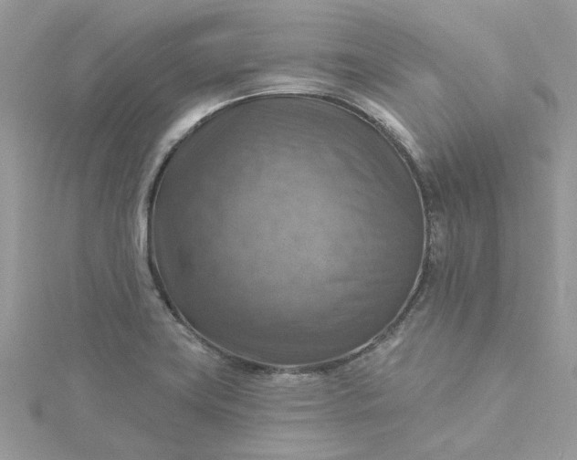 X0000115361419200911171343
