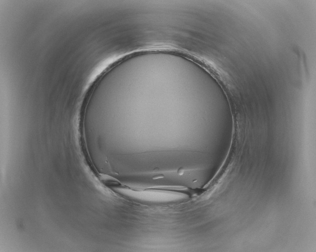 X0000115361422200911171343
