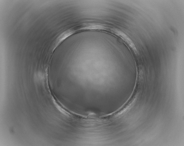 X0000115361425200911171343