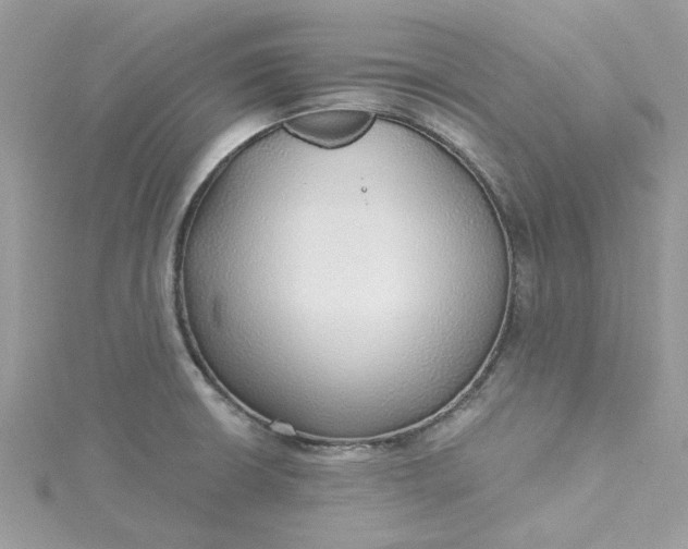 X0000115361426200911171343
