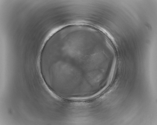 X0000115361429200911171343