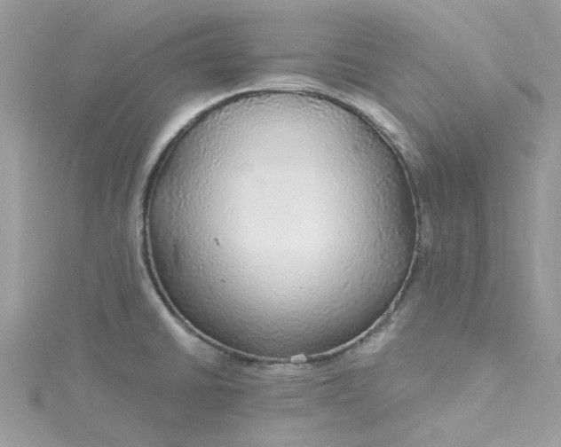 X0000115361430200911171343