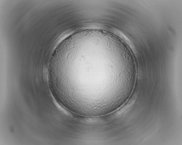 X0000115361433200911171343