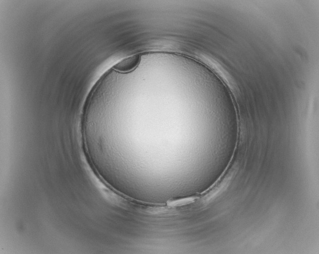 X0000115361434200911171343