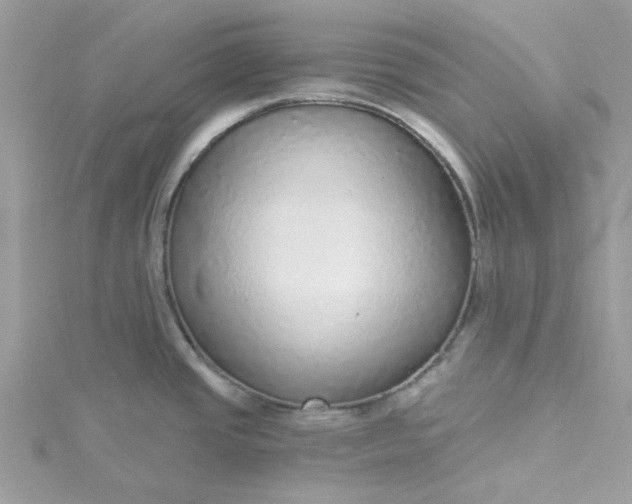 X0000115361437200911171343