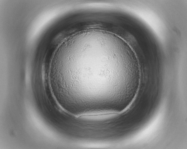 X0000115361438200911171343
