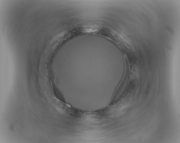 X0000115361441200911171343
