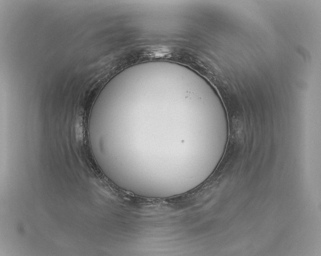 X0000115361442200911171343
