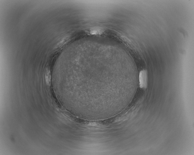 X0000115361443200911171343