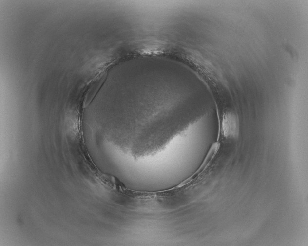 X0000115361444200911171343