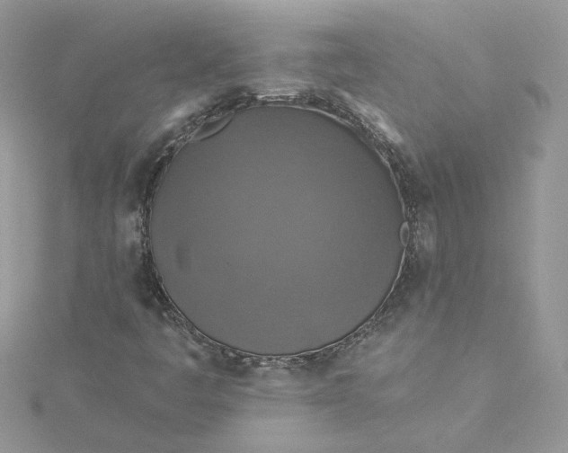 X0000115361445200911171343