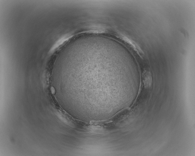 X0000115361448200911171343