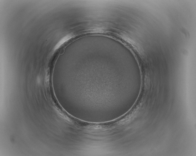 X0000115361450200911171343